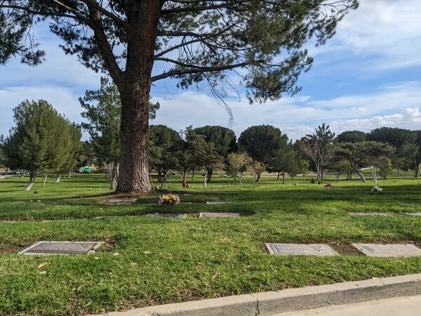 2 burial plots available for sale in Oakwood Memorial | BurialLink